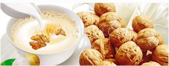 核桃深加工——核桃油，核桃粉，核桃工藝品，活性炭制品(圖8)