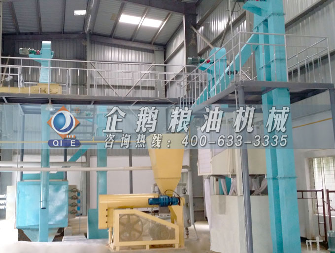 如何投資建設(shè)棕櫚油加工廠？企鵝糧油機(jī)械在線為您答疑解惑(圖4)